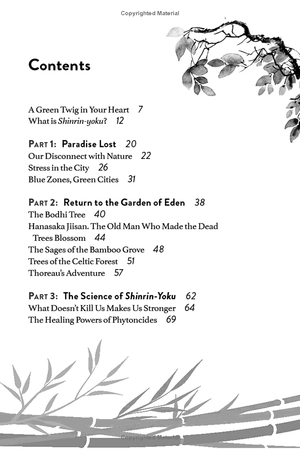 forest bathing: the rejuvenating practice of shinrin yoku - Ảnh 4