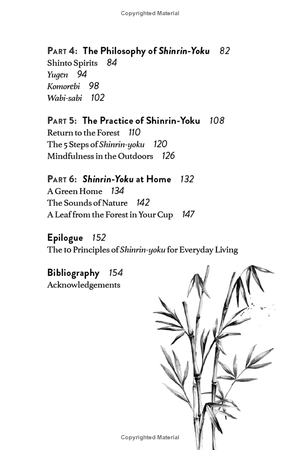 forest bathing: the rejuvenating practice of shinrin yoku - Ảnh 5