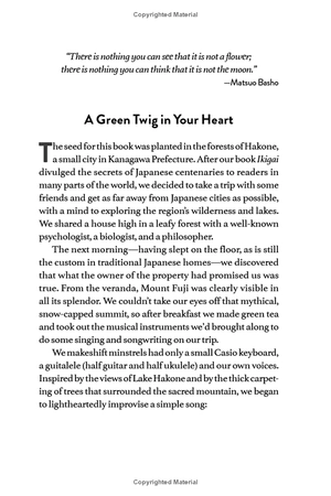 forest bathing: the rejuvenating practice of shinrin yoku - Ảnh 6