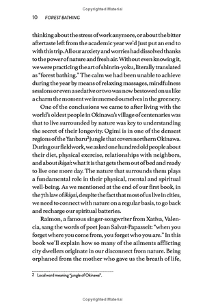 forest bathing: the rejuvenating practice of shinrin yoku - Ảnh 9