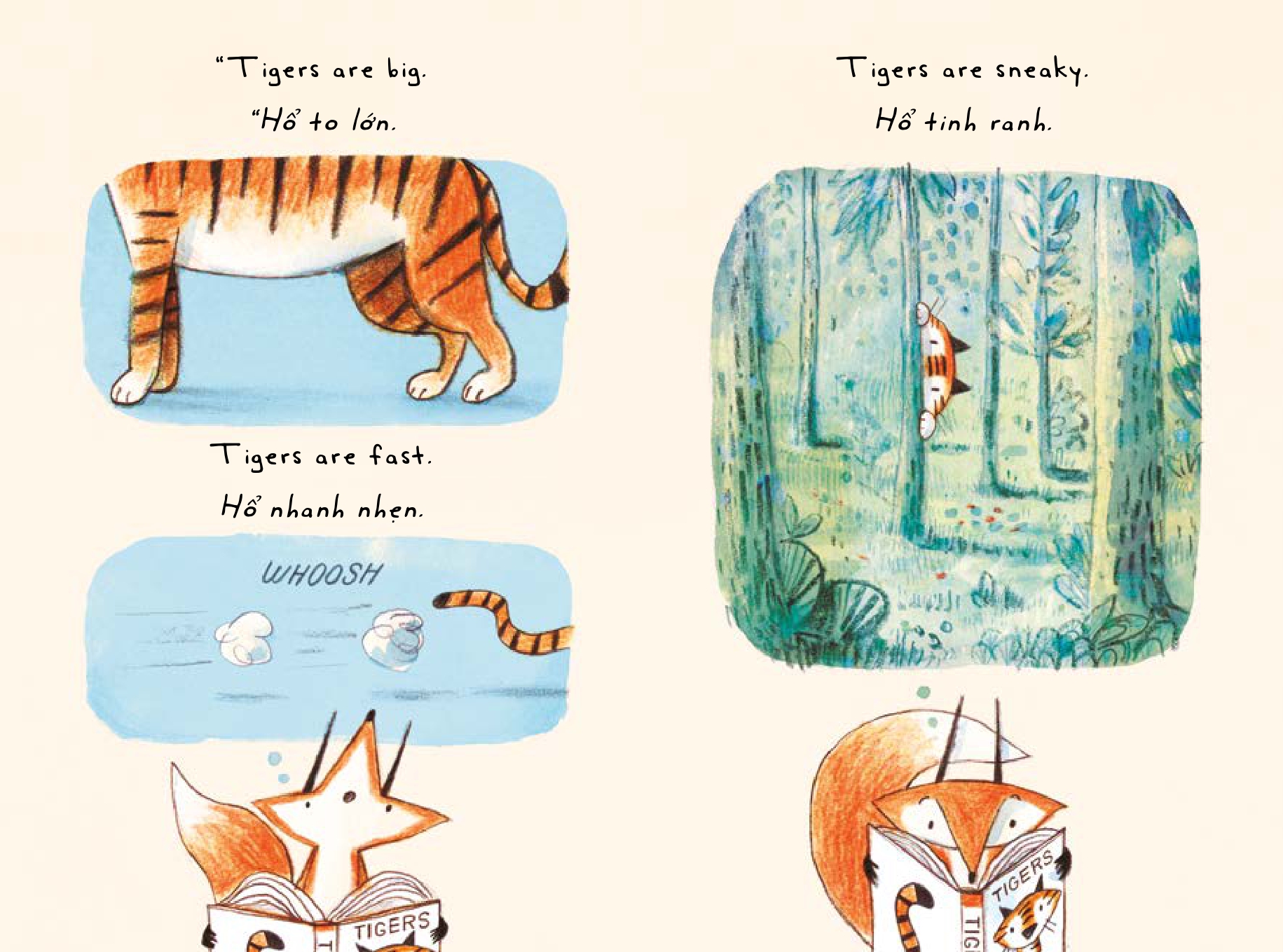 Fox The Tiger - Cáo Da Hổ (Tái Bản 2025) - Ảnh 4