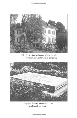 frankenstein - Ảnh 5