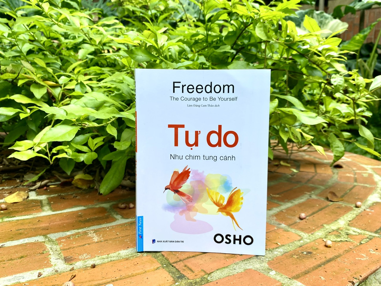 freedom - the courage to be yourseft - tự do - như chim tung cánh - Ảnh 4