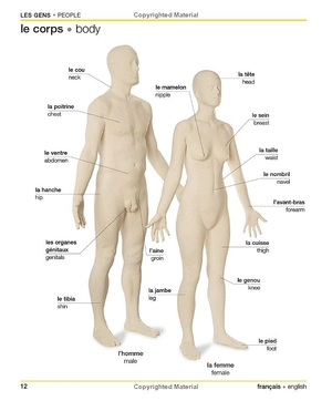 french english bilingual visual dictionary - Ảnh 12