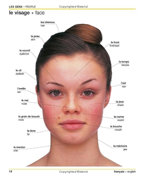 french english bilingual visual dictionary - Ảnh 14