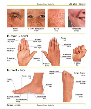 french english bilingual visual dictionary - Ảnh 15