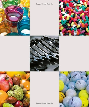 french english bilingual visual dictionary - Ảnh 3