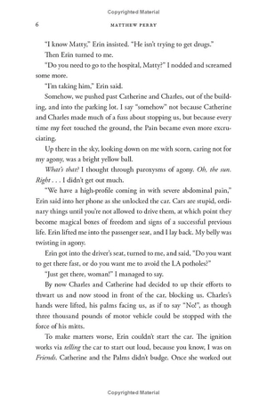 friends, lovers, and the big terrible thing: a memoir - Ảnh 16