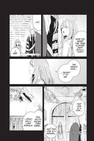 frieren - beyond journey's end 10 - Ảnh 7