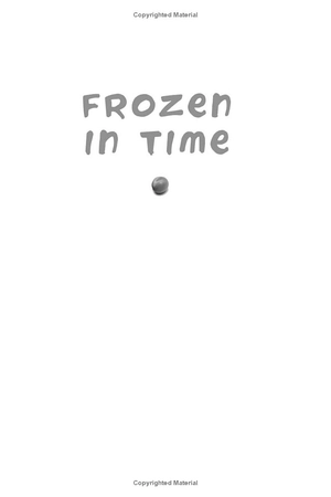 frozen in time - Ảnh 3