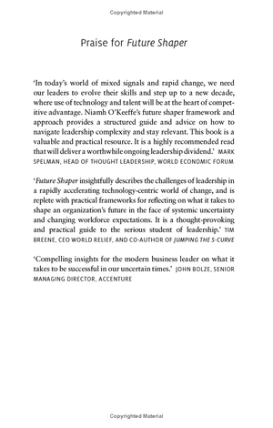 future shaper: how leaders can take charge in an uncertain world (kogan page inspire) - Ảnh 3