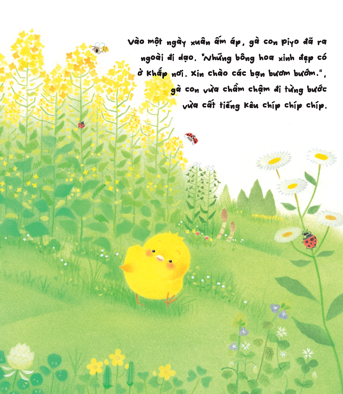 gà con và hoa hướng dương - Ảnh 4