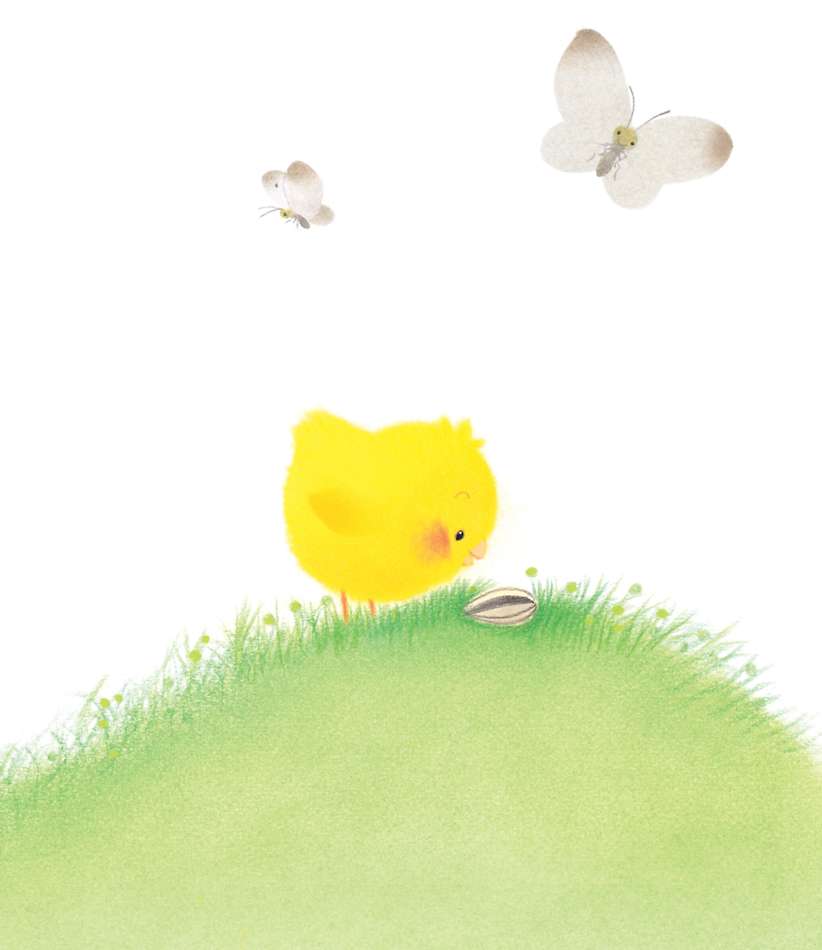 gà con và hoa hướng dương - Ảnh 6