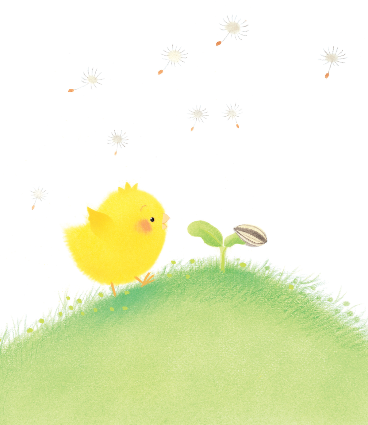 gà con và hoa hướng dương - Ảnh 8