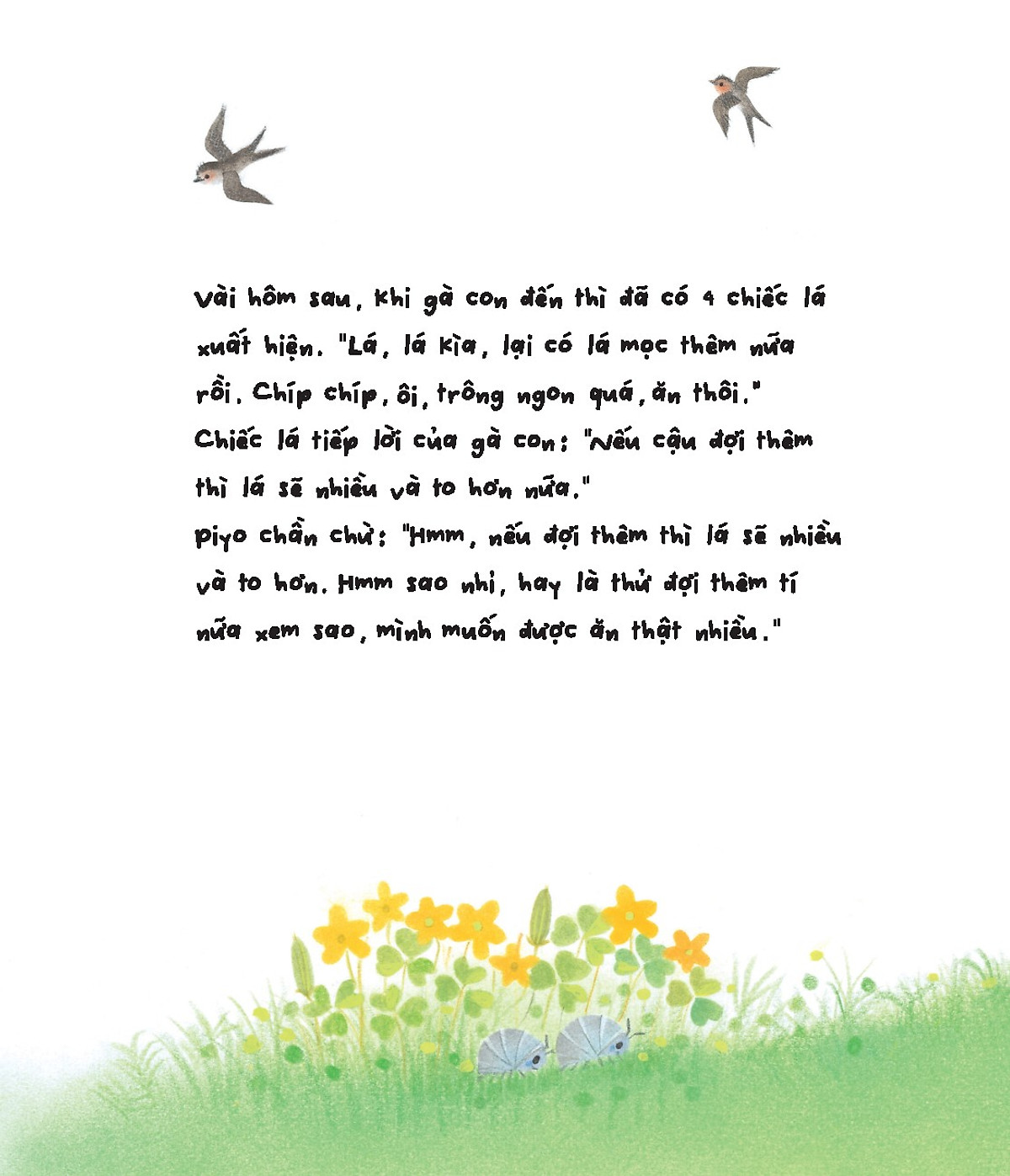 gà con và hoa hướng dương - Ảnh 9