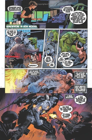 gamma flight - Ảnh 7