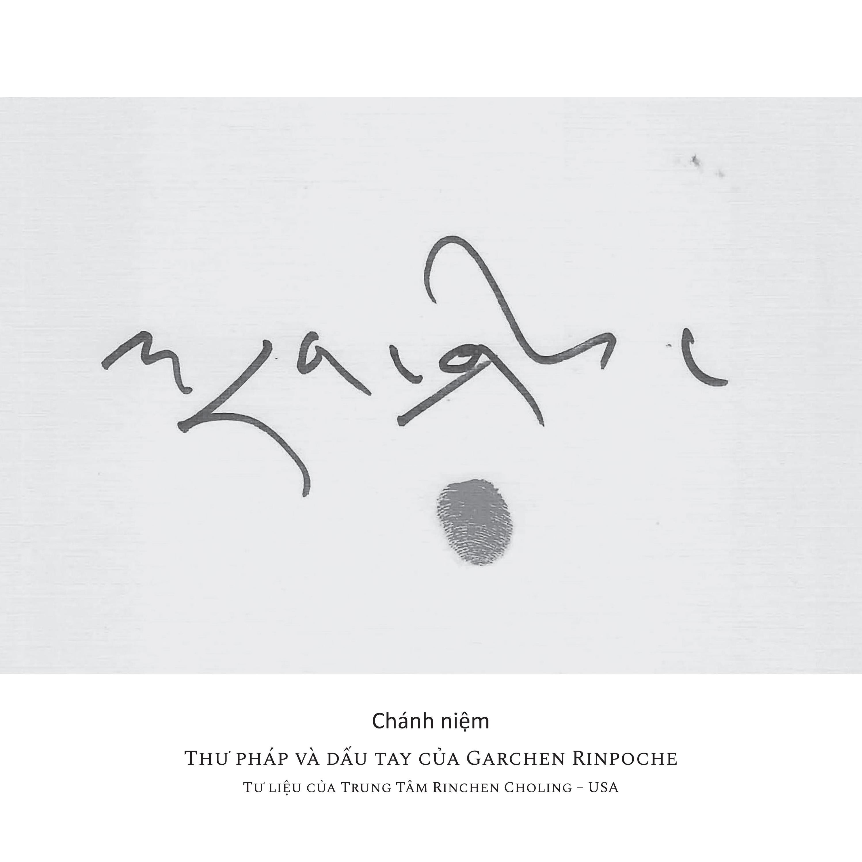 Garchen Rinpoche - Lạt Ma Của Nhiều Đời Kiếp - Ảnh 7