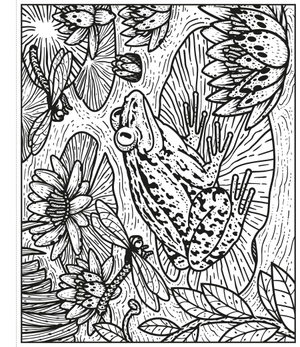 garden magic painting book - Ảnh 3