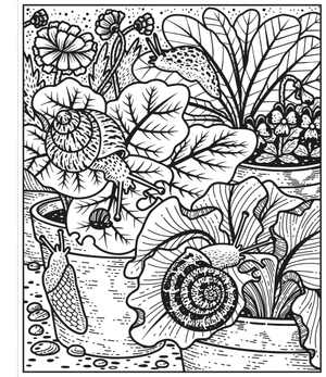 garden magic painting book - Ảnh 4