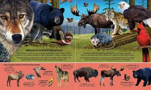 garry fleming's wild animals - book & jigsaw vol. 2 - Ảnh 4