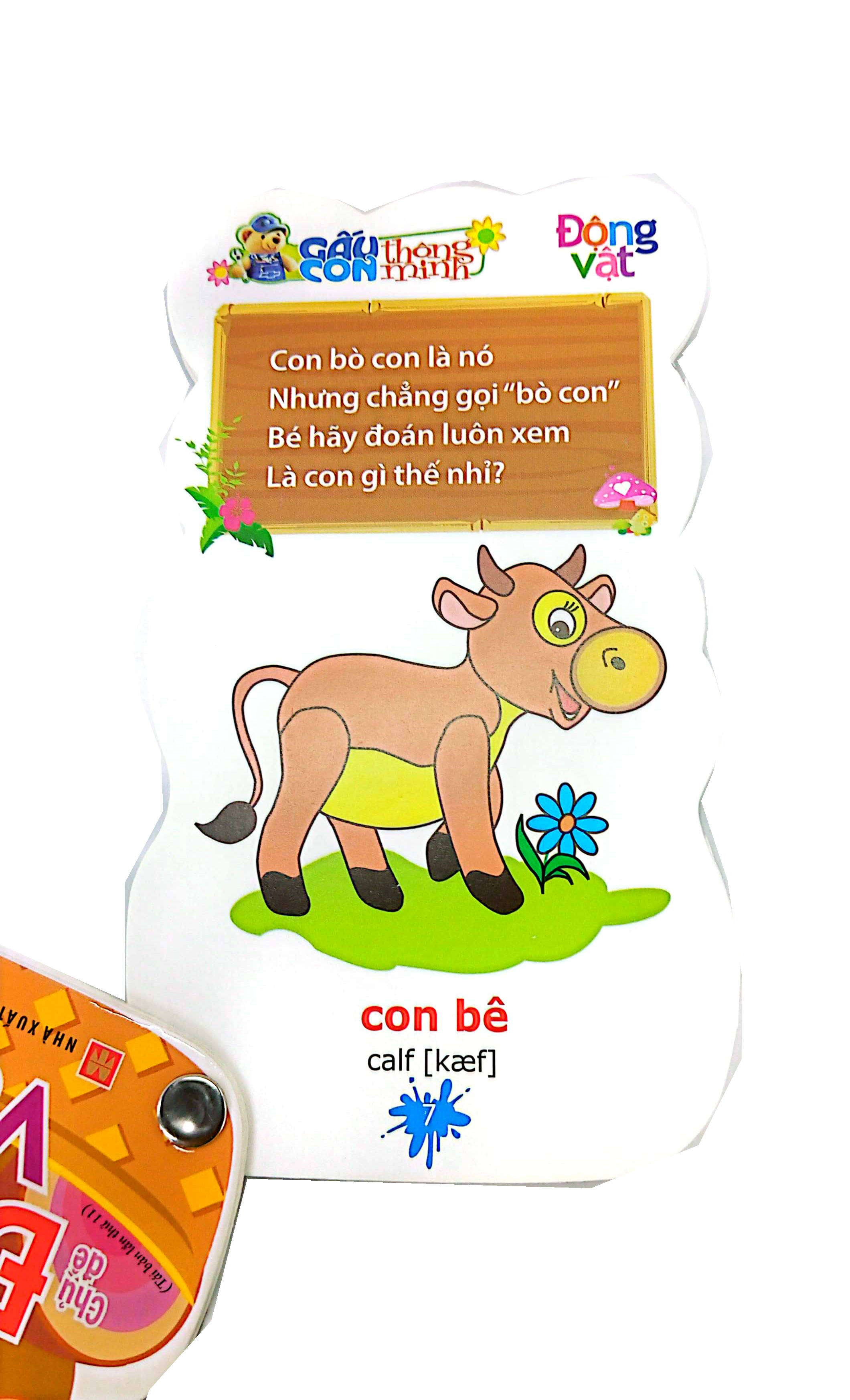 gấu con thông minh - dành cho trẻ mầm non - động vật (tái bản 2023) - Ảnh 5