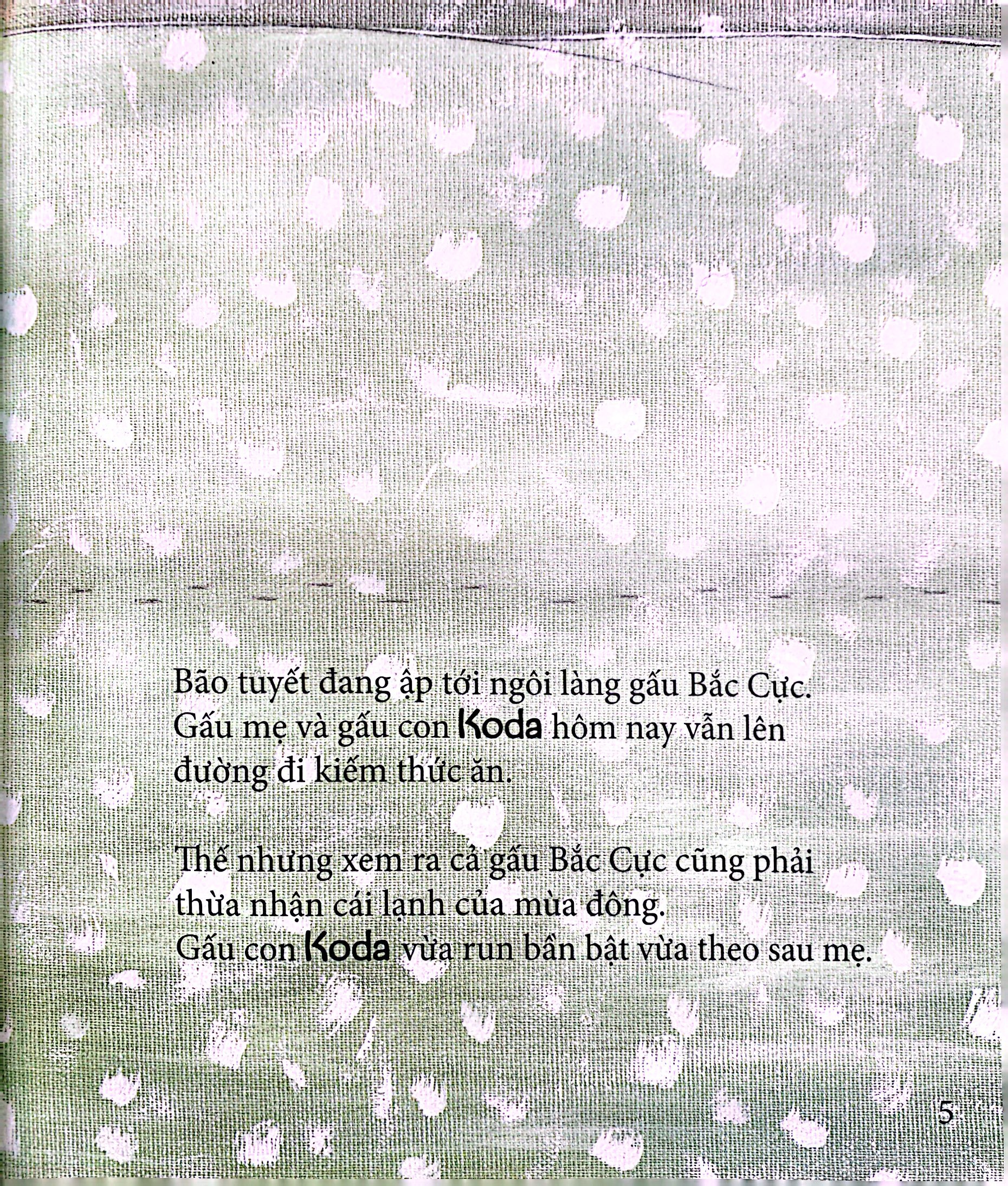 gấu koda - làn hơi ấm - Ảnh 4