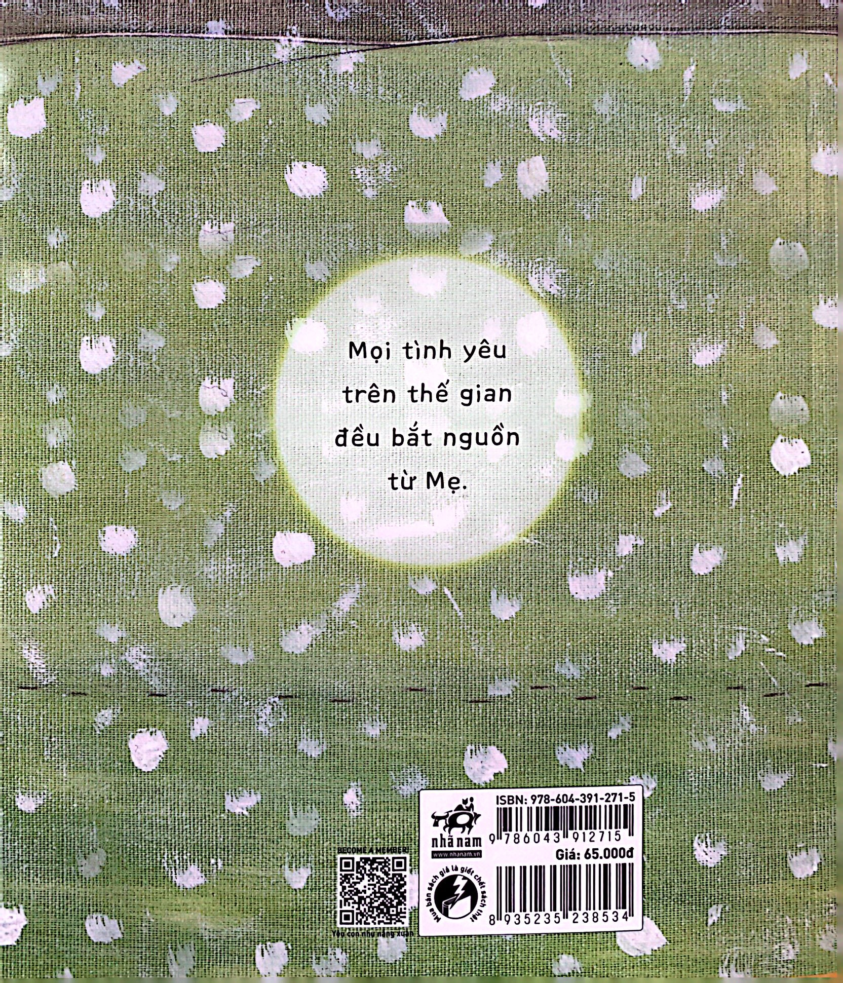 gấu koda - làn hơi ấm - Ảnh 7