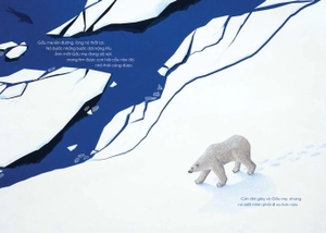 gấu mẹ cứu con - Ảnh 5