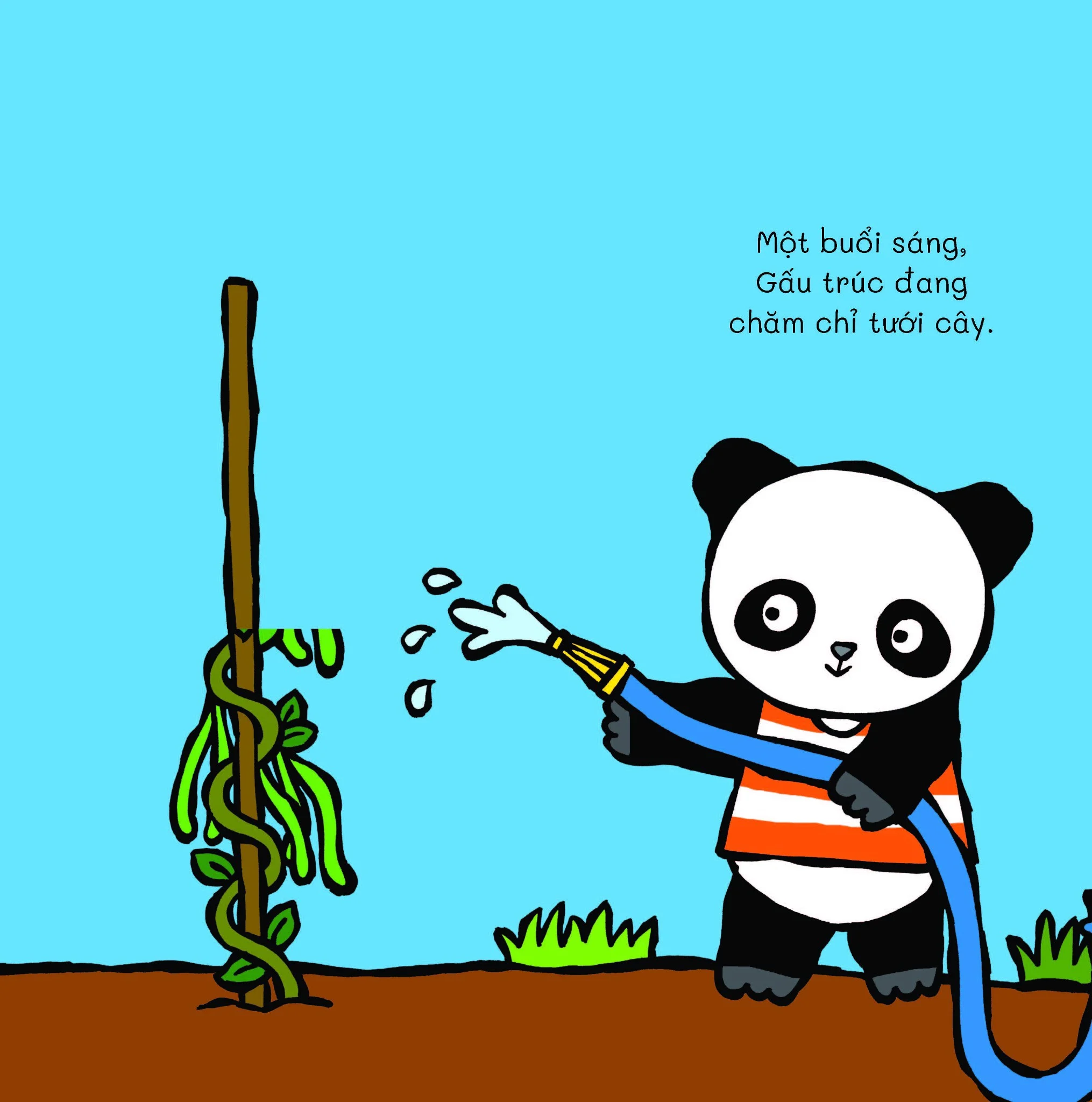 gấu trúc đi tìm - cùng lật giở thú vị - có thấy không gấu trúc ơi? - Ảnh 3