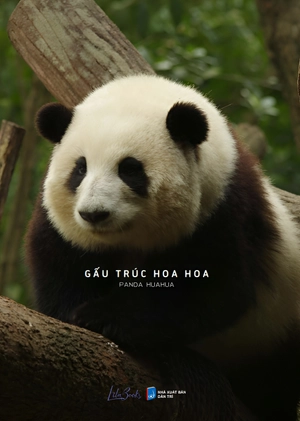 gấu trúc hoa hoa - Ảnh 3