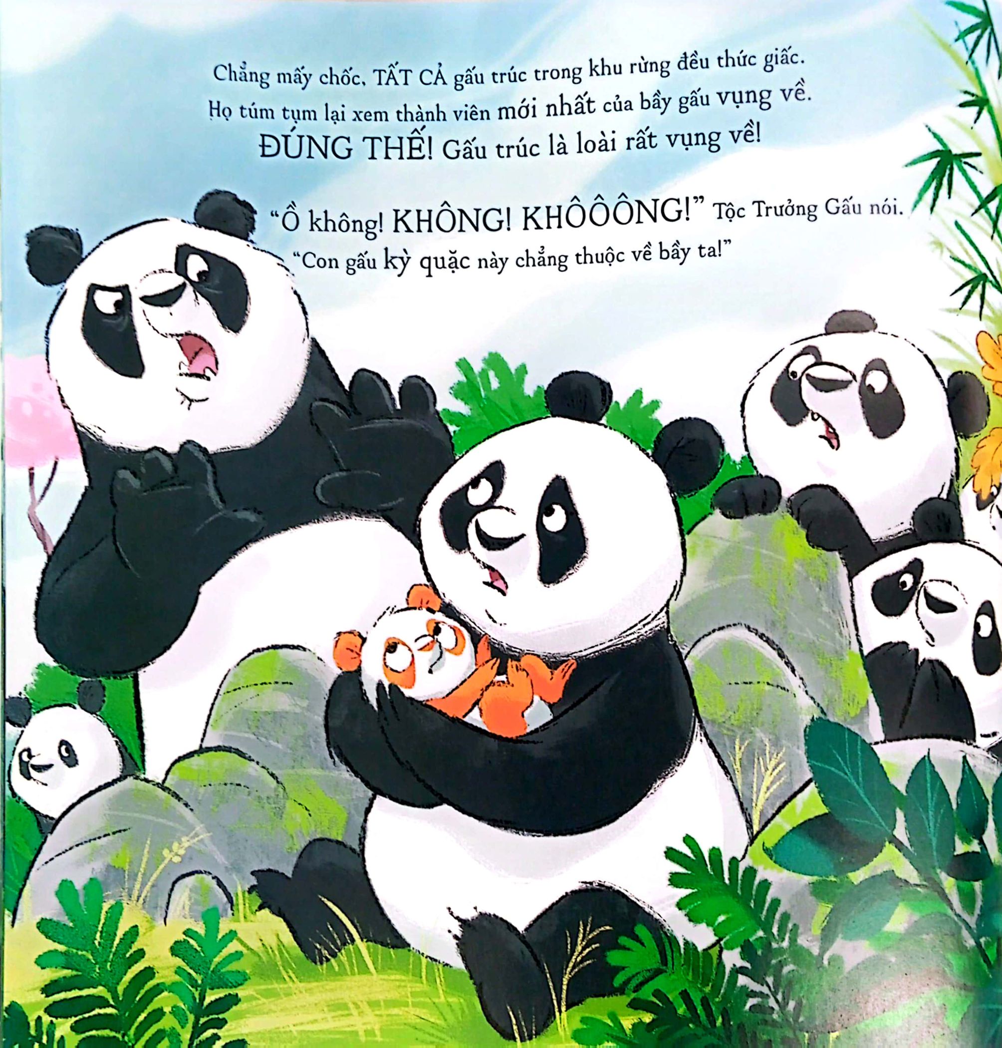 gấu trúc mứt cam - Ảnh 5