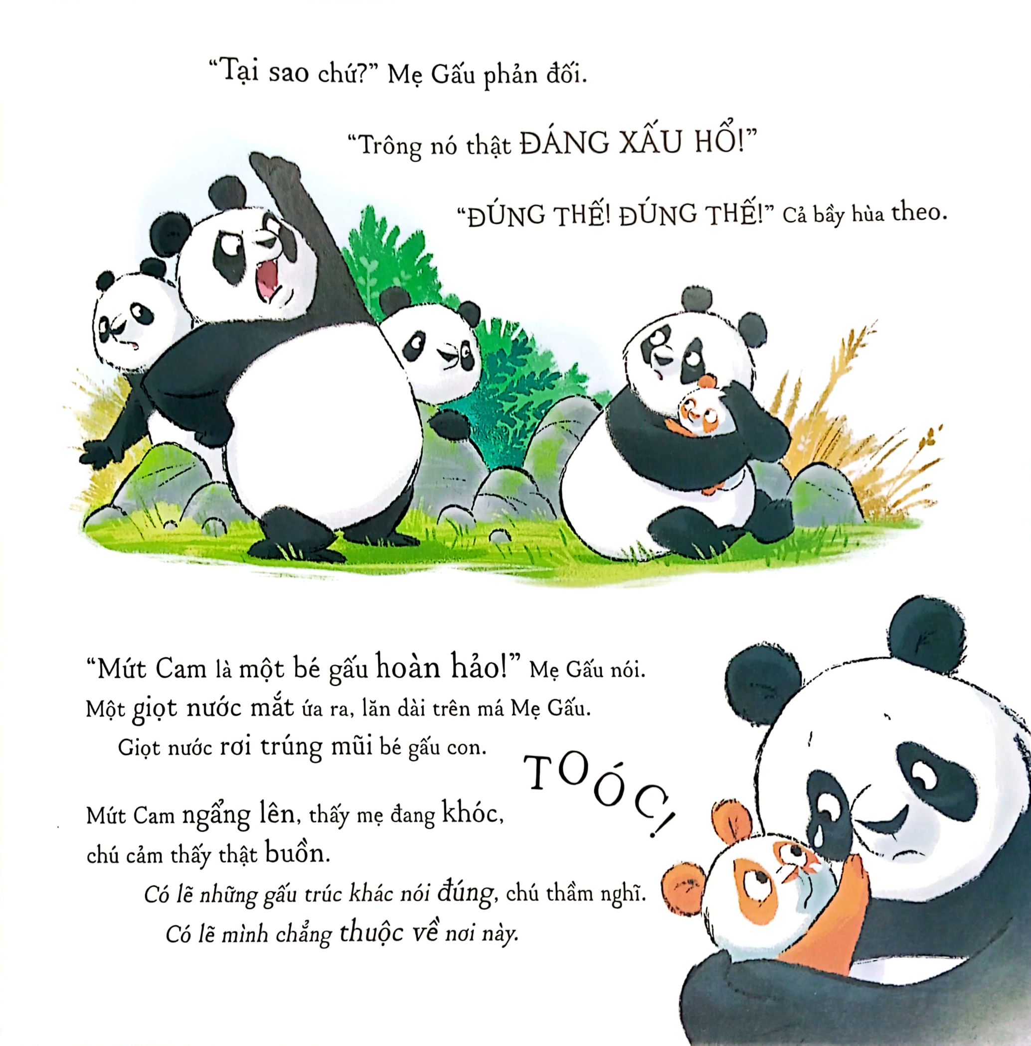 gấu trúc mứt cam - Ảnh 6