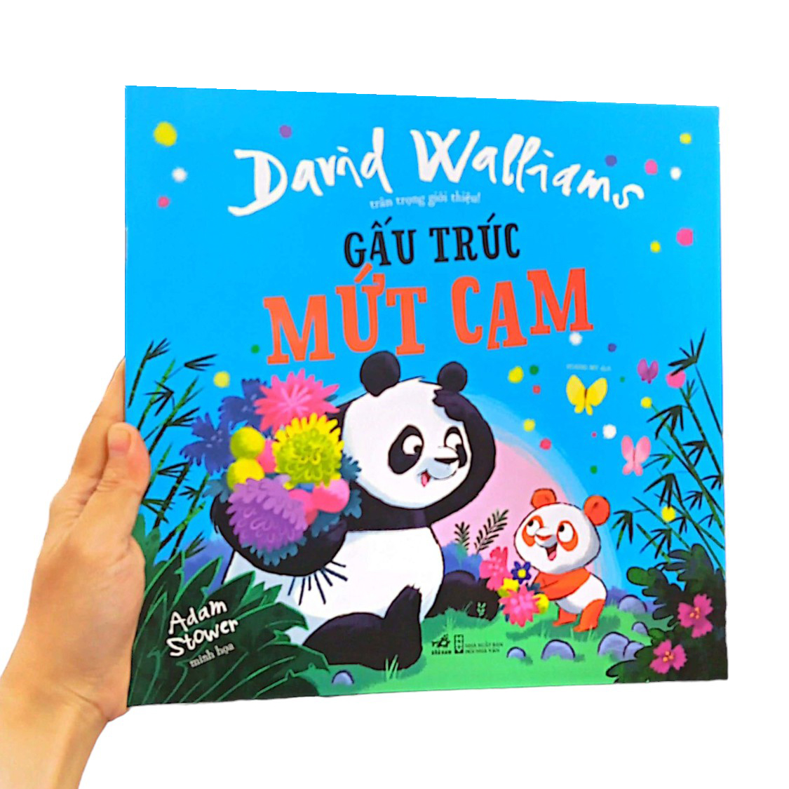 gấu trúc mứt cam - Ảnh 8