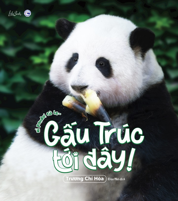 gấu trúc tới đây! - hi panda! cò le~ - tặng kèm 1 khung ảnh + 4 postcard hai mặt + 1 sticker gia tộc gấu trúc - Ảnh 3