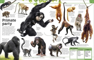 general knowledge genius!: a quiz encyclopedia to boost your brain - Ảnh 4