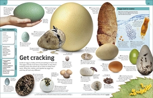 general knowledge genius!: a quiz encyclopedia to boost your brain - Ảnh 5