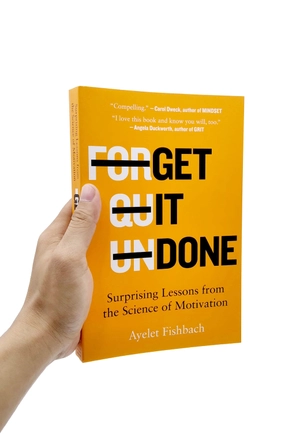 get it done: surprising lessons from the science of motivation - Ảnh 7