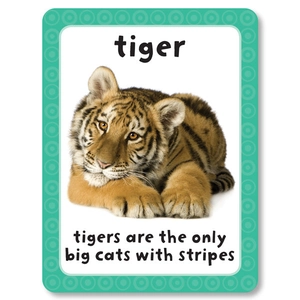 get set go: flashcards - animals - Ảnh 4