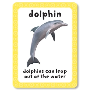 get set go: flashcards - animals - Ảnh 5