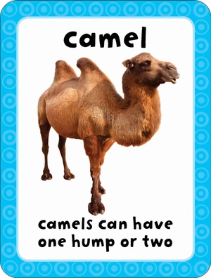 get set go: flashcards - animals - Ảnh 6