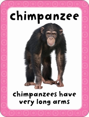 get set go: flashcards - animals - Ảnh 8