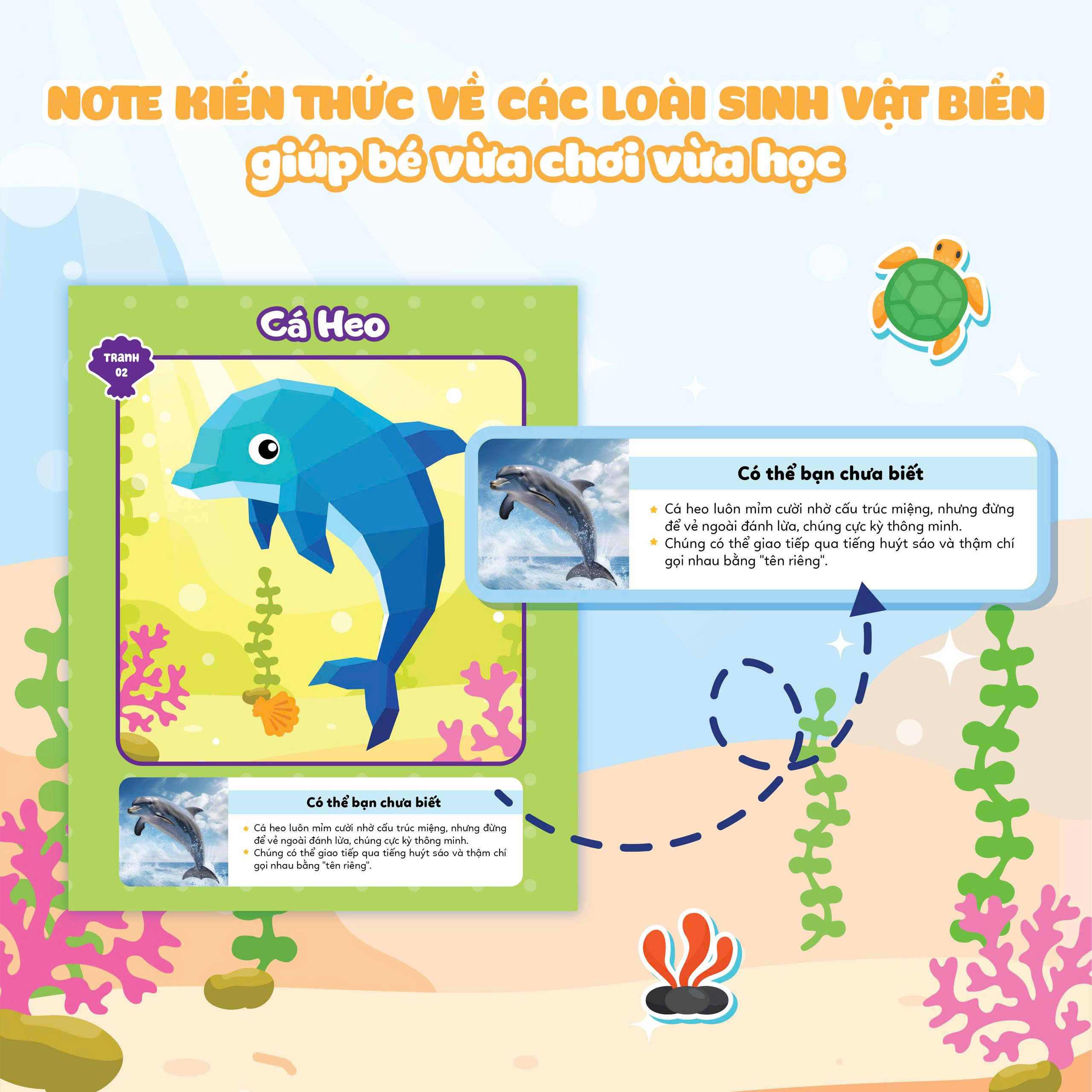 Ghép Hình Sticker 3D - Đại Dương 01 - Ảnh 6