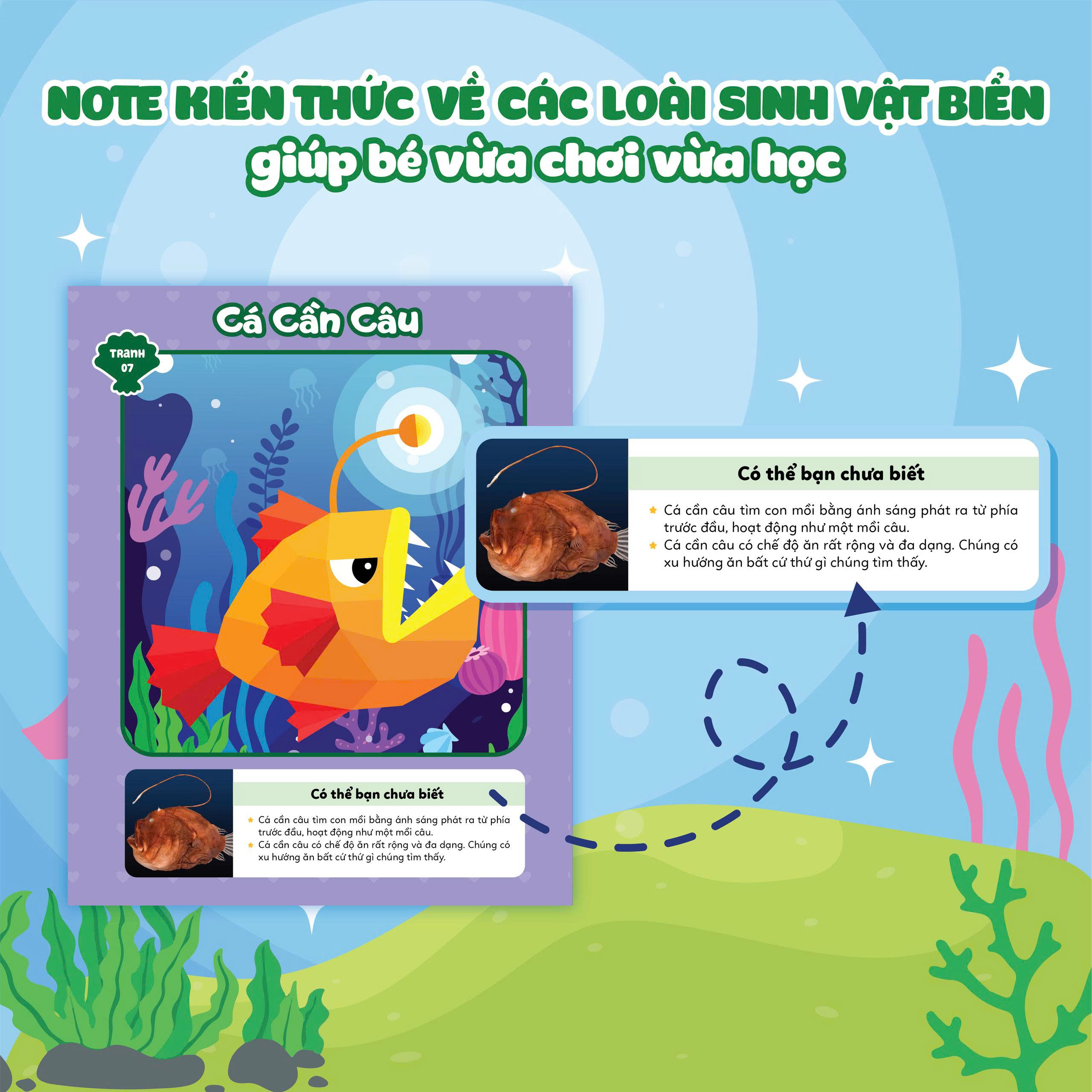 Ghép Hình Sticker 3D - Đại Dương 02 - Ảnh 6