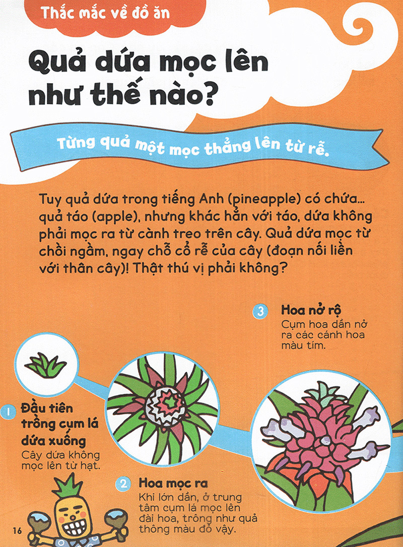 gi gỉ gì gi cái gì cũng biết - dành cho lớp 2 - Ảnh 11