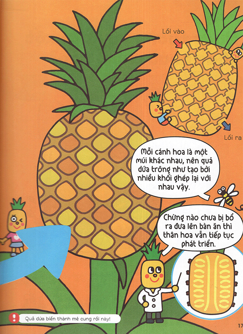 gi gỉ gì gi cái gì cũng biết - dành cho lớp 2 - Ảnh 3