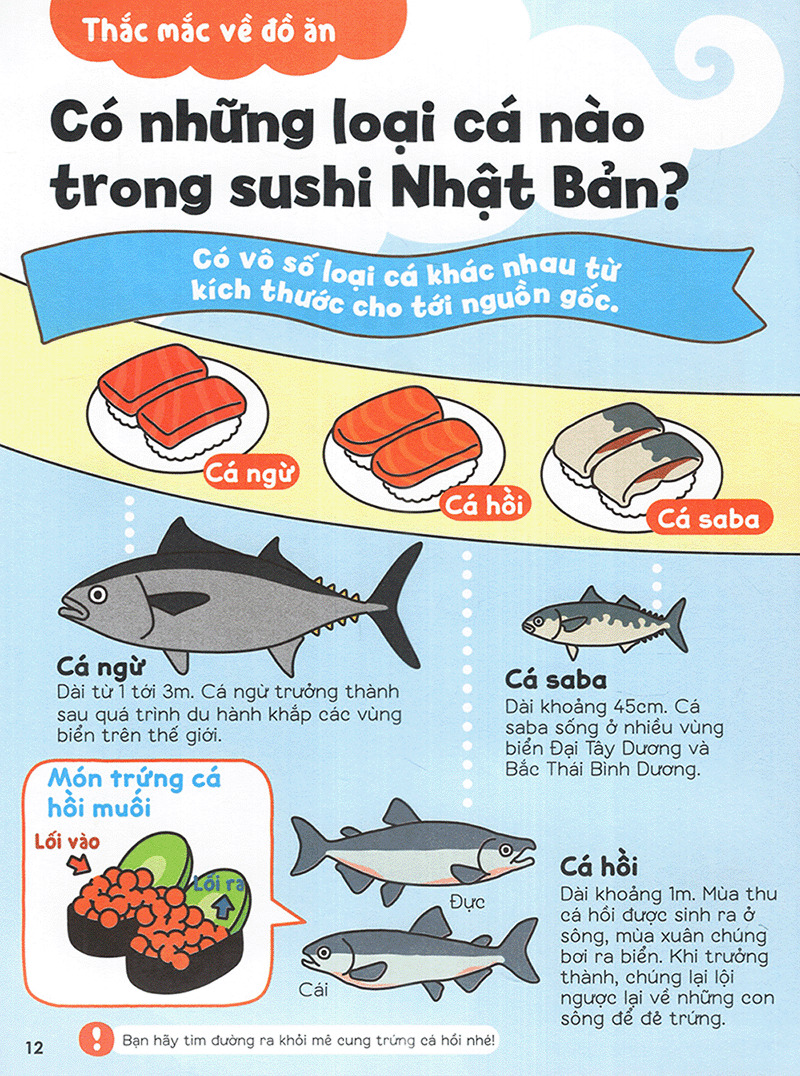 gi gỉ gì gi cái gì cũng biết - dành cho lớp 2 - Ảnh 7