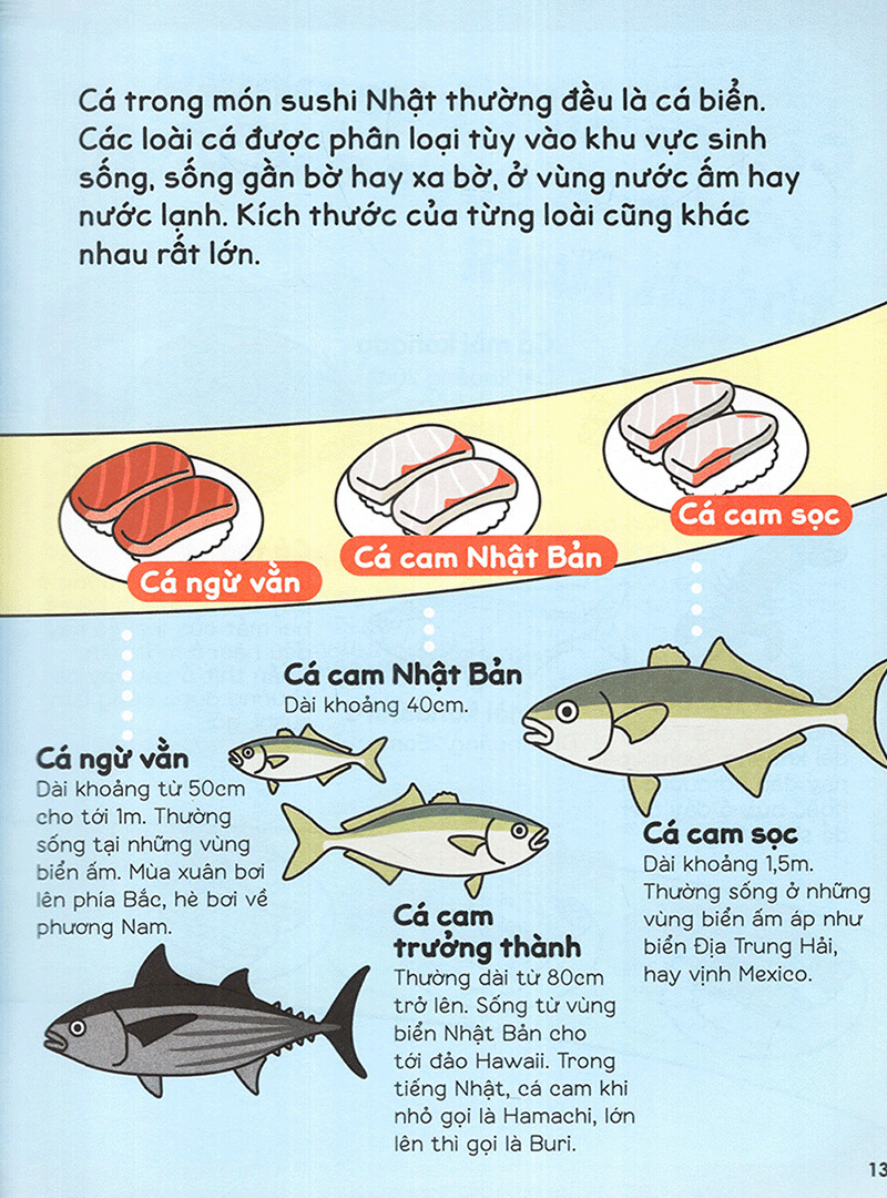 gi gỉ gì gi cái gì cũng biết - dành cho lớp 2 - Ảnh 8