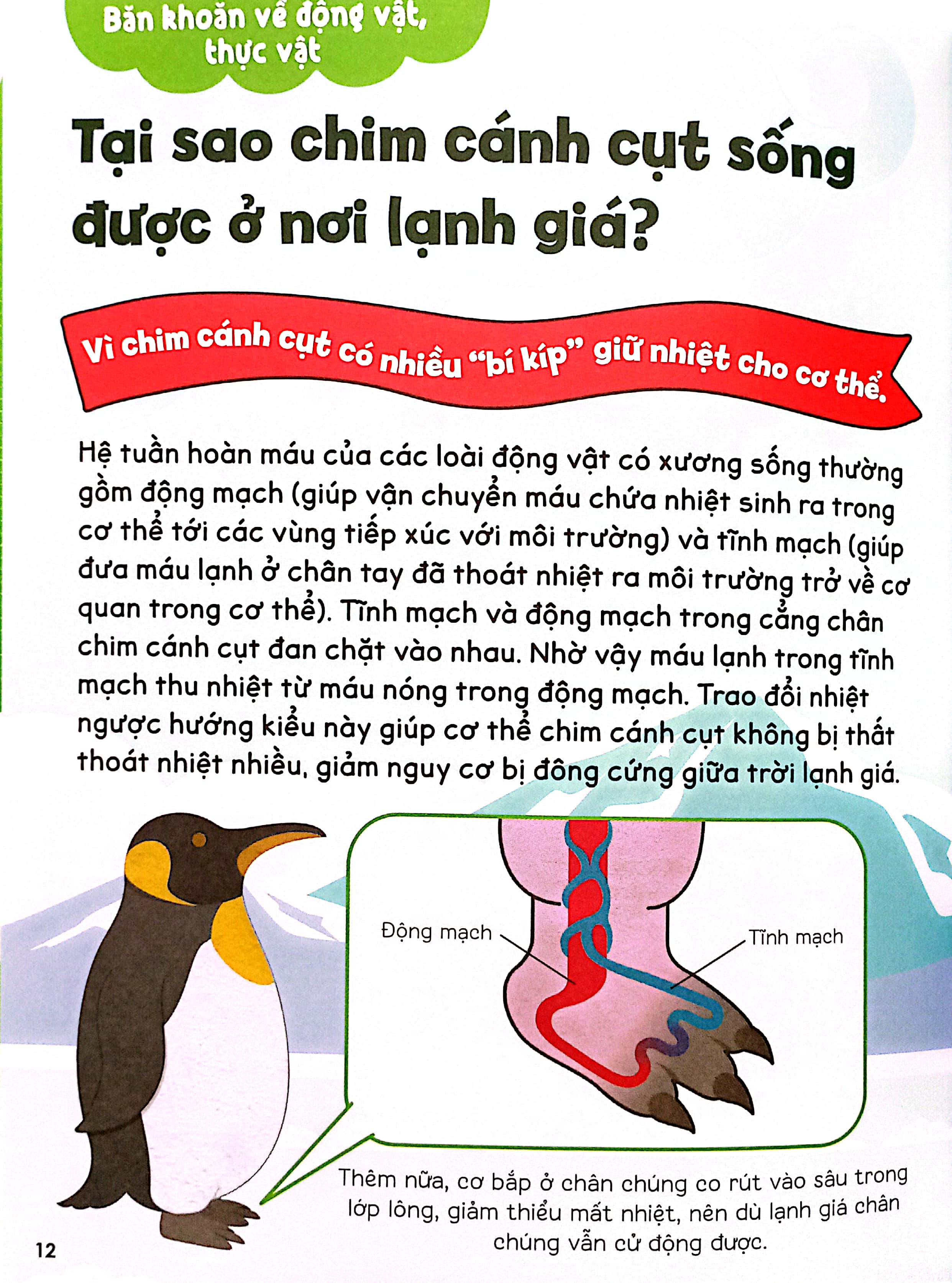 gi gỉ gì gi, cái gì cũng biết - dành cho lớp 3 - Ảnh 4