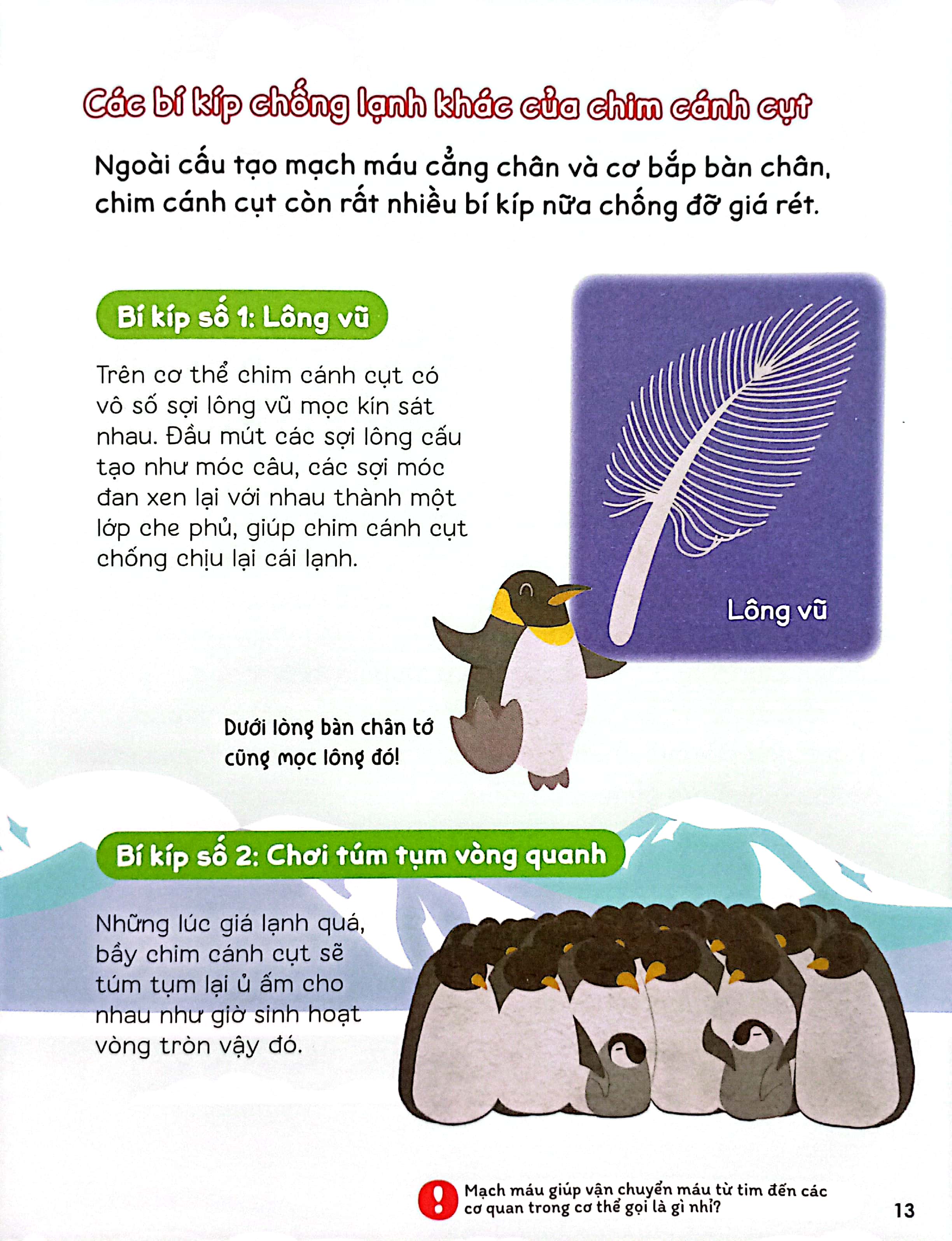 gi gỉ gì gi, cái gì cũng biết - dành cho lớp 3 - Ảnh 5