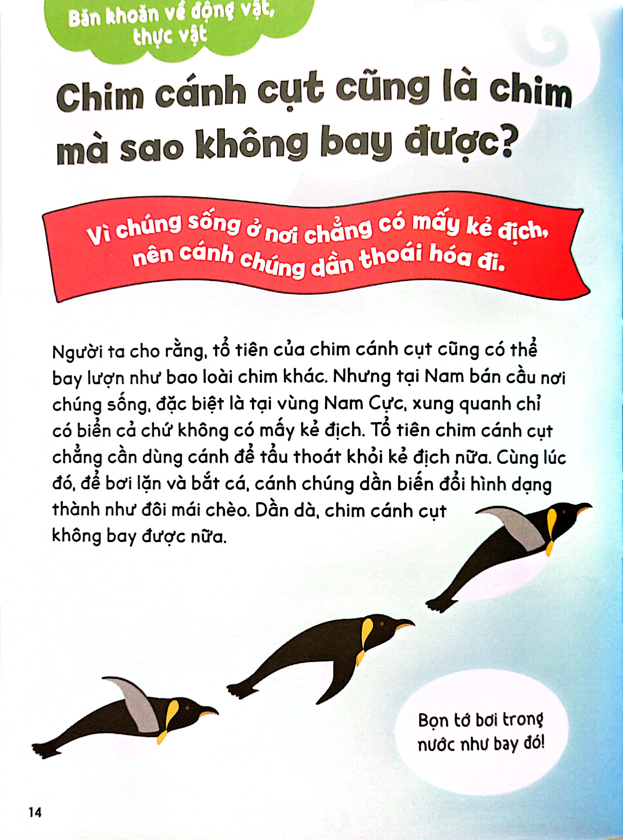 gi gỉ gì gi, cái gì cũng biết - dành cho lớp 3 - Ảnh 6